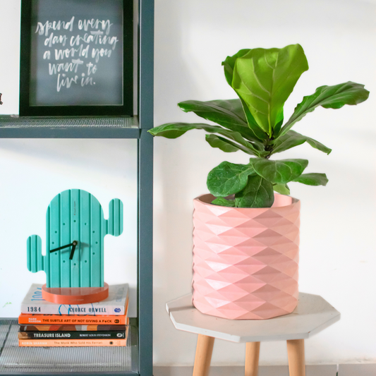 Indoor concrete planter geometric patter(big size)