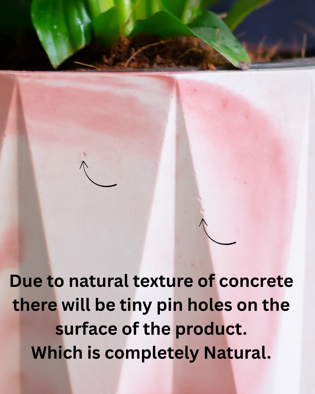 Indoor concrete planter with plate