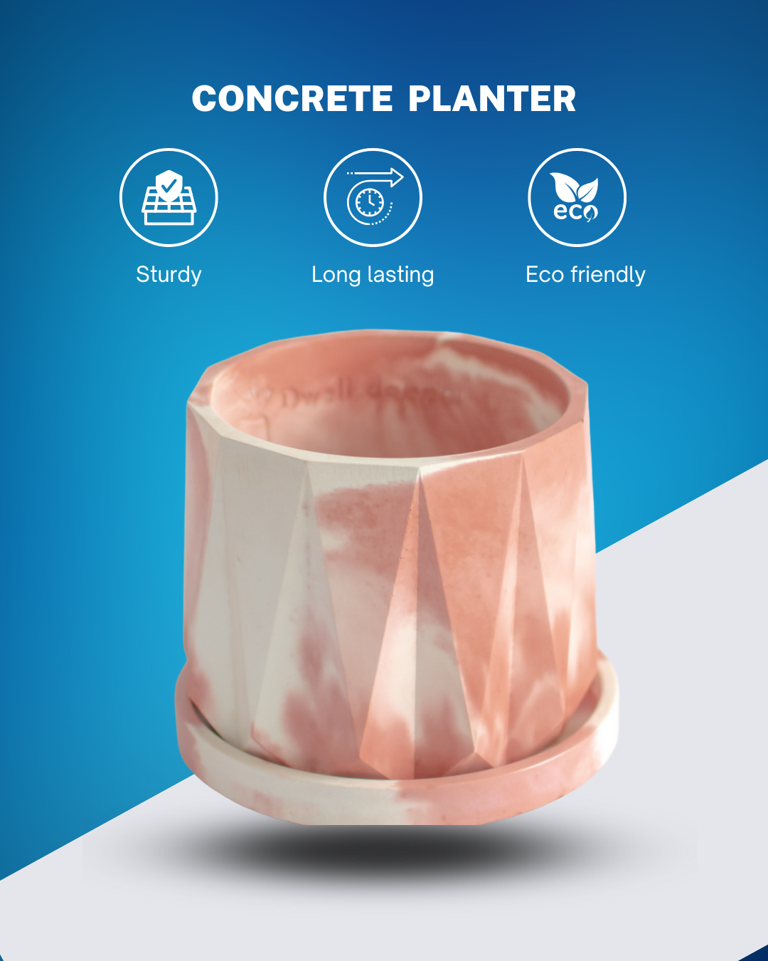 Indoor concrete planter with plate